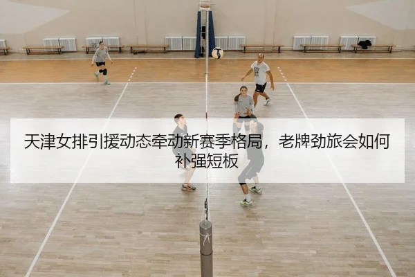 天津女排引援动态牵动新赛季格局，老牌劲旅会如何补强短板